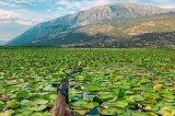 Nilüferleriyle ünlü Işıklı Gölü doğal güzellikleriyle cezbediyor