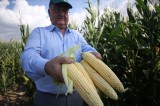120 dönüm araziye ektiği mısırla belediyeye ek kaynak oluşturacak