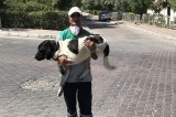 Üç bacaklı sokak köpeği temizlik işçisini 5 yıldır yalnız bırakmıyor