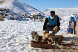 Dondurucu soğuğun etkili olduğu Van’da sokak hayvanlarına yem bırakıldı